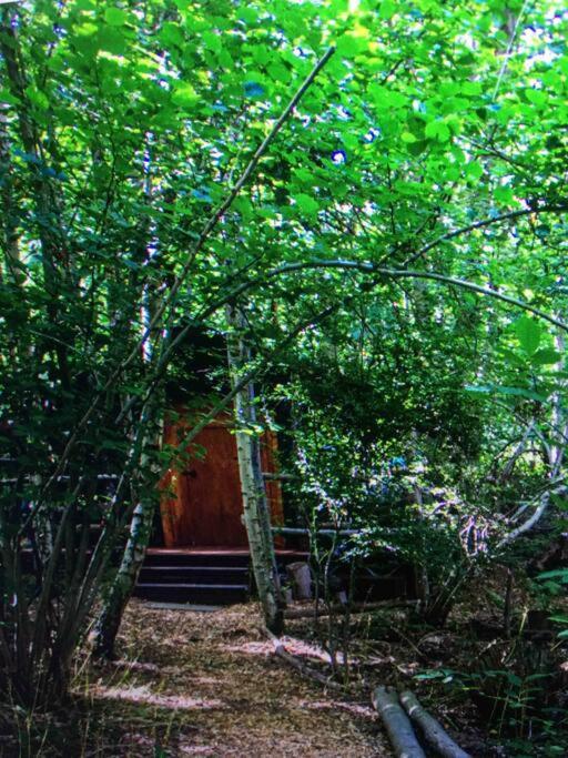 Cosy Woodland Romantic Retreat With Log Fires And Nature Sturry Exterior foto