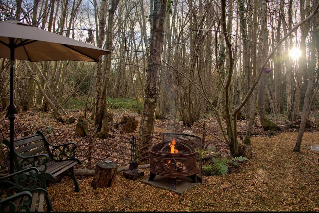 Cosy Woodland Romantic Retreat With Log Fires And Nature Sturry Exterior foto